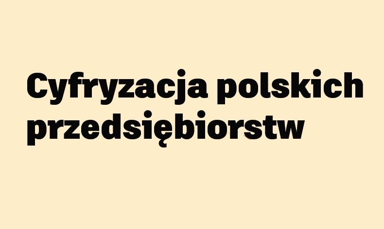 Jak przebiega cyfryzacja polskich przedsiębiorstw